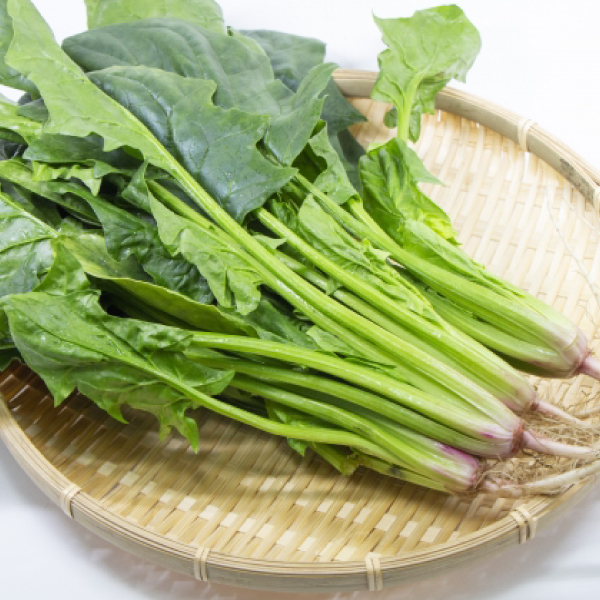 野菜冷食品工場